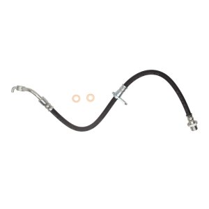 Honda Civic Brake Hose - Rear - R1 Concepts - `16-`22